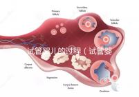 試管嬰兒的過(guò)程（試管嬰兒的過(guò)程步驟及時(shí)間）