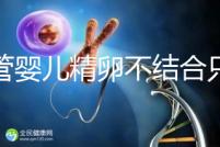 試管嬰兒精卵不結合只是基因問題？這幾大原因告知真相