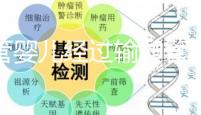 試管嬰兒經(jīng)過輸卵管嗎（10個人做試管幾個能成功）