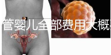 試管嬰兒全部費用大概要多少錢？