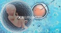 試管嬰兒可以選性別嗎（試管嬰兒可以選性別嗎？）