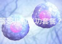 試管嬰兒包成功套餐？您可能誤會了...