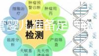 試管嬰兒準備足、心態好是關鍵，柬埔寨取卵1次就夠1支足球隊