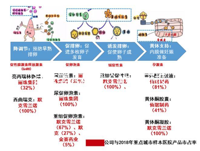 試管嬰兒哪幾個地區可報銷醫保