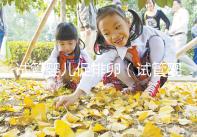 試管嬰兒促排卵（試管嬰兒促排卵針打多久可以取卵）