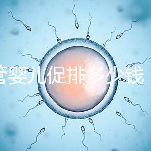 試管嬰兒促排多少錢(qián)(試管和促排哪個(gè)傷害小)