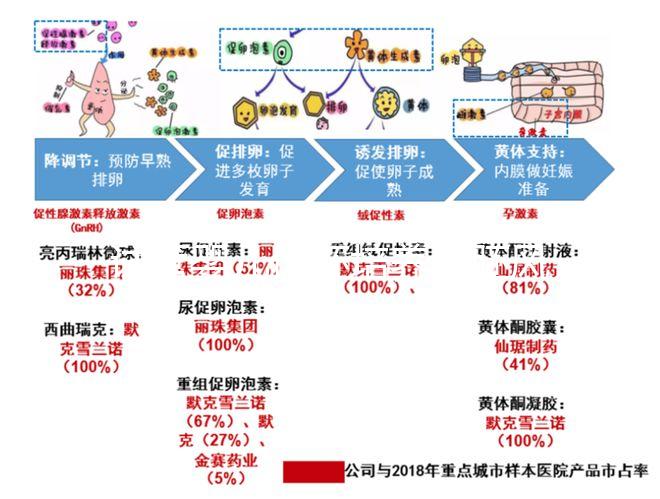 試管嬰兒優(yōu)胚培養(yǎng)囊胚風(fēng)險(xiǎn)特別大，逃不掉這3大原因