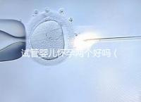 試管嬰兒懷孕兩個(gè)好嗎（試管放一個(gè)還是兩個(gè)好）