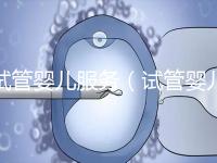 試管嬰兒服務（試管嬰兒服務公司合法嗎）