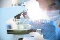 試管嬰兒活產率（試管嬰兒活產率是多少）