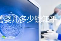 試管嬰兒多少錢知乎（試管嬰兒多少錢 知乎）