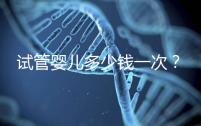 試管嬰兒多少錢一次？