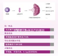試管嬰兒胎停流產(chǎn)的原因剖析，胎停育與胎停孕大不同