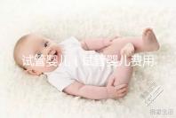 試管嬰兒（試管嬰兒費(fèi)用大概要多少錢）
