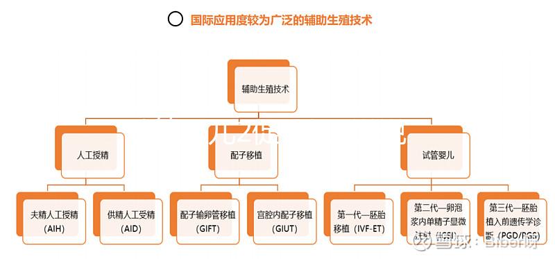試管嬰兒2促3移，說說5點我的成功懷孕經驗