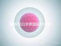 解放軍白求恩國際和平醫院（中國人民解放軍白求恩國際和平醫院）