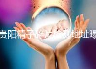 貴陽精子碎片檢測地址曝光，云巖區醫院能看完嗎？