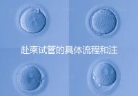 赴柬試管的具體流程和注意事項(xiàng)