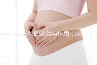 赤白芍的功效與作用（赤白芍的功效與作用的功能與主治）