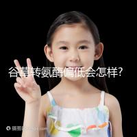 谷草轉(zhuǎn)氨酶偏低會怎樣?其危害主要根據(jù)病因來判斷