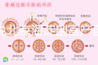 誰(shuí)說北京海淀剖宮產(chǎn)自付費(fèi)用高，了解2024年生育保險(xiǎn)報(bào)銷比例？