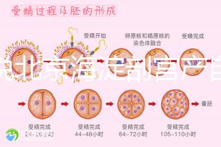 誰說北京海淀剖宮產自付費用高，了解2024年生育保險報銷比例？