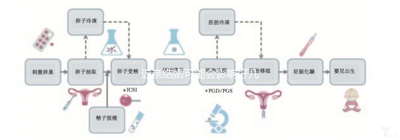 近親結(jié)婚可能會(huì)影響好幾代人，危害你真的承受不起！