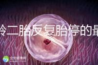 高齡二胎反復胎停的最大原因很簡單，染色體異常占50%