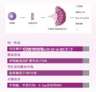 馬賽克胚胎并非全都不正常，單獨移植風險更小