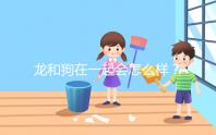 龍和狗在一起會(huì)怎么樣？相沖可以這樣解決