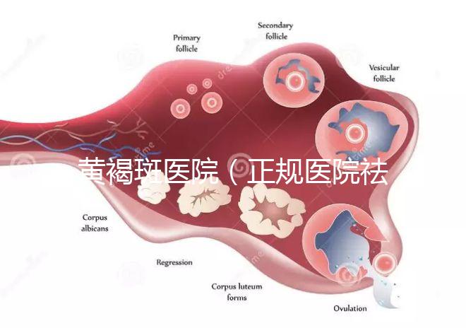 黃褐斑醫(yī)院(正規(guī)醫(yī)院祛斑大概要多少錢)