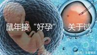 鼠年接“好孕”，關于試管嬰兒取卵的那些事兒！