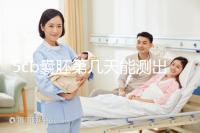 5cb囊胚第幾天能測出看移植成功后續(xù)發(fā)育怎么樣，不懂戳
