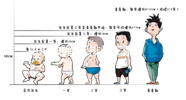 40歲試管促排雌二醇385是否1-2個卵的答案揭曉，想造戳