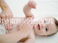 41歲取卵6個能配成幾個分人，達到這個正常數量孕路無阻