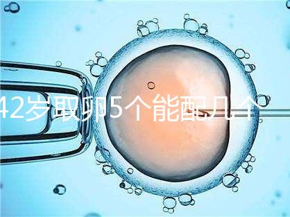 42歲取卵5個能配幾個胚胎難說，只有2個許是技術(shù)差導(dǎo)致