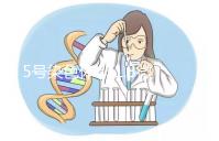 5號染色體q31.3微缺失綜合癥嚴重嗎？會怎么樣？