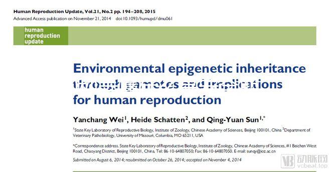 60秒弄懂什么是安全期，女生們別再和黃體期混為一談！