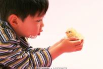 6ba囊胚好不好？醫(yī)生:調(diào)理好身體才是提升成功率的基礎(chǔ)