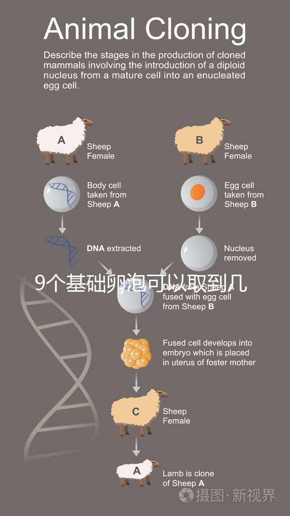 9個基礎(chǔ)卵泡可以取到幾個卵戳,促排后會不會增加很重要