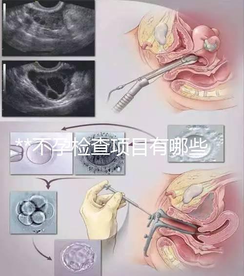 **不孕檢查項目有哪些?