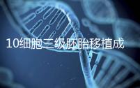 10細胞三級胚胎移植成功率多少看情況，身體好最快6天著床