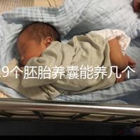 19個胚胎養囊能養幾個真難說，質量好都成功了也屬正常