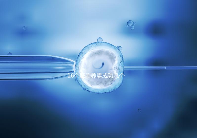 16個胚胎養(yǎng)囊成功幾個說不準，11個概率高不高真不一定