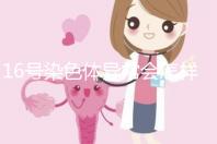 16號染色體異常會怎樣？會使胎兒宮內發育遲緩