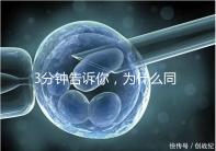 3分鐘告訴你，為什么同卵雙胞胎不會是龍鳳胎