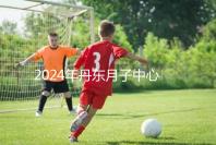 2024年丹東月子中心收費標準，能否接生問題整理，想要制作的戳