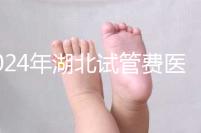 2024年湖北試管費(fèi)醫(yī)療保險(xiǎn)可以報(bào)銷？專家：時(shí)間還沒到？