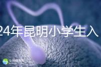 2024年昆明小學(xué)生入學(xué)政策出臺，五華區(qū)年齡限制重點