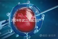 2024年武漢私立婦產醫院排名前十，江漢區人流良好